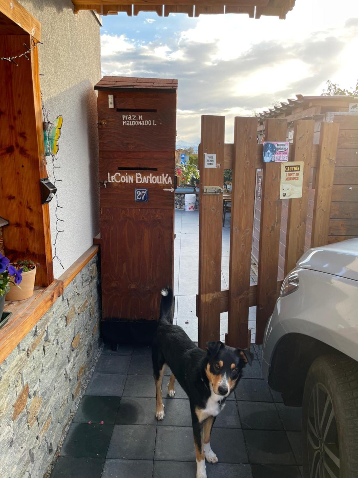 Ferienwohnung Le Coin Barlouka Veysonnaz Exterior foto